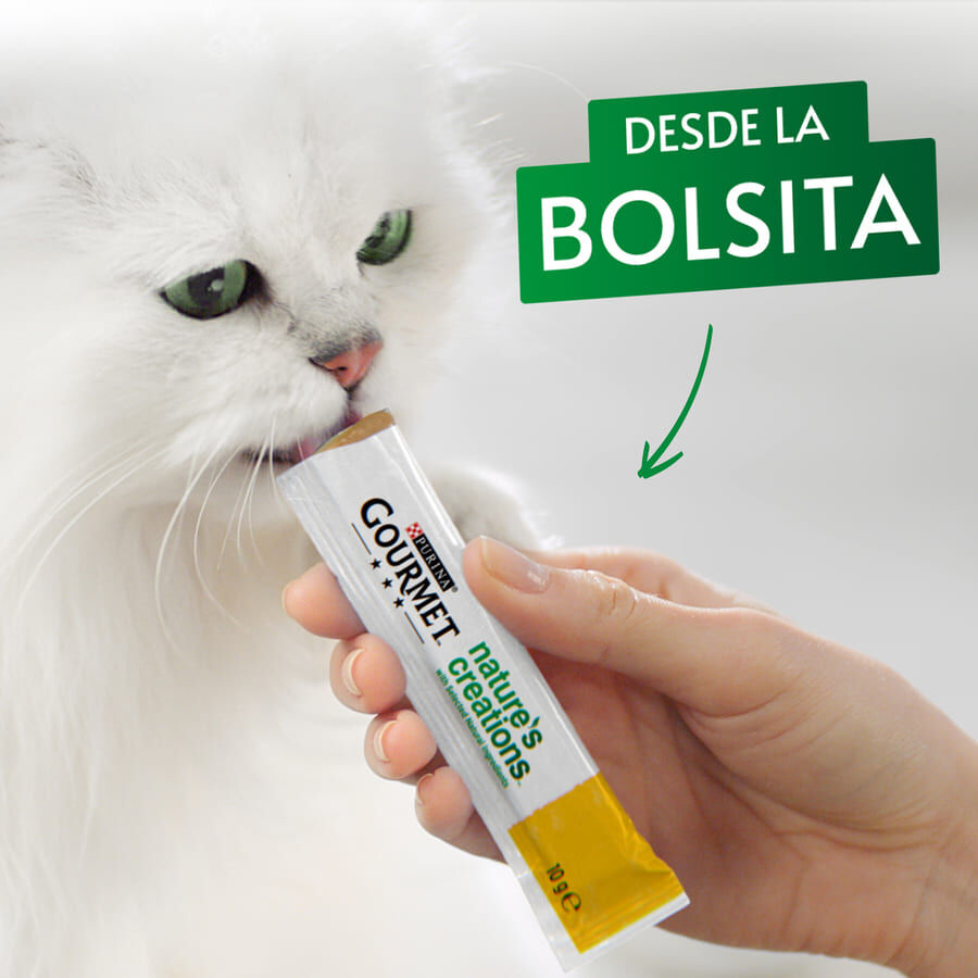 5 sobres x 10 g Gourmet Nature&rsquo;s Creations Snack H&uacute;medo de Pollo para gatos, , large Imagen numero 4
